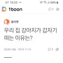 강아지가 갑자기 떠는 이유 이미지