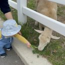 은지목장 이미지