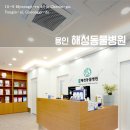 해성동물병원 이미지