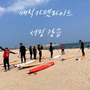 매직카펫라이드서프