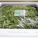 엄마농장 이미지