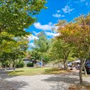 아빠가 만든 캠핑장 이미지