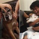 안녕, 내강아지 이미지