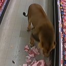 싱글벙글마트 이미지