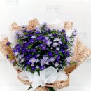 롯데시네마거리(시네마11번가) 이미지