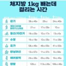 체지방 1kg 빠지는데 걸리는 시간 이미지