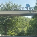 레포밸리 이미지