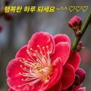 오정동상가 이미지