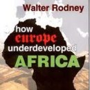 07/05)Forty years of How Europe Underdeveloped Africa 이미지