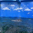 장생포고래로L 이미지