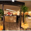 라이온PC 이미지