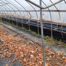 규암농장 이미지