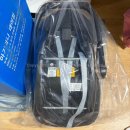 레몬치과의원 | 레몬일기 | 임신 29 ~ 39주차 증상과 병원 방문 후기