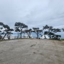 오션비치펜션B동 이미지