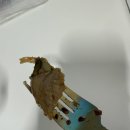 서울역맛집 조선보울에서 한국식 다이어트샐러드 먹은 후기(포장/위치/소스추천)