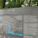 제주 천제연 난대림 | 제주 여행 중문 관광단지 대포 주상절리 천제연 1,2,3 폭포 소요시간 선임교 용머리해안 출입