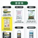 신흥종묘사 이미지