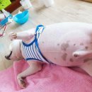 복길