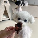 제로네간식타임 이미지