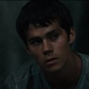 호인세상 이미지