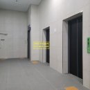 신평동1119 이미지