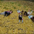 현대경복유치원 이미지