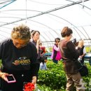 손웅농장 이미지