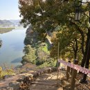 피탕김탕 이미지