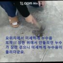 경동보일러동신설비