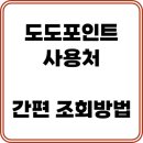 DoDoPC방 | 도도포인트 사용처 조회 방법