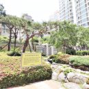 행운공인중개사합동사무소 이미지