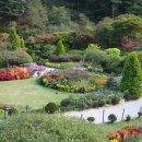 나라꽃 미니정원 이미지