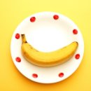 바나나동물병원 이미지