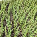 미동목장 이미지