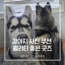 우리집 강아지 | 우리집 강아지 굿즈 사진 쿠션 제작 후기｜소느로잡화점 반려견 굿즈 쿠션·쿠션키링 내돈내산
