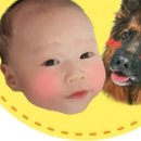 몽뜰리에 이미지