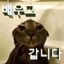 백화점 몬치치 팝업 후기(몬치치 굿즈 라인업 및 재고...키링 | 캐리마켓 팝업 | 몬치치 웨이팅 방법...