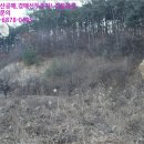 안성시개산보건진료소 | [경기 안성시 금광면 토지(임야)경매] 경기도 안성시 금광면 오산리 산56-1 [2018타경9263]