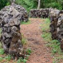 제주 할리데이 이미지