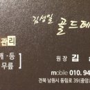 김성일 골드 테라피