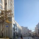 미아동주민센터 강의실 | 강북 미아동 미용실 ELLAC 엘라끄 헤어에서 아윤채 클리닉 받고 머릿결 좋아진 후기