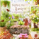 석송 | 스틸데코 화분픽 추천 30%세일 구매 후기 | 봄 베란다정원 꾸미기 내돈내산