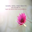 문구 이미지