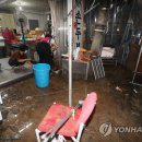 태화상인 이미지