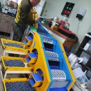 왕눈이농장 이미지