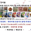 사랑이네옷수선 - 무주군 단천로 113 | 사랑이네옷수선