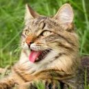 모두애동물병원 이미지