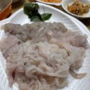 85호영동어촌계 | [속초/국내여행] 겨울 속초 여행, 회 포장 맛집 동명활어센터, 맛있는 회 고르는 꿀팁, 동명항 회 포장