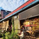 시골촌닭구이 | 고흥군맛집 추천_포두촌닭에서 닭구이 먹방