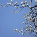 대구서구종합사회복지관 (주차장) 이미지